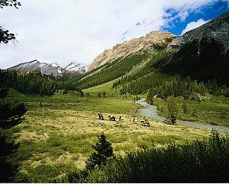 1930卡通风格FPS《鼠》公布 预告片分享